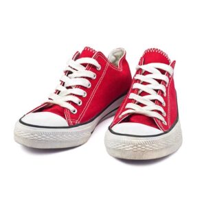 Zapatillas Rabbit